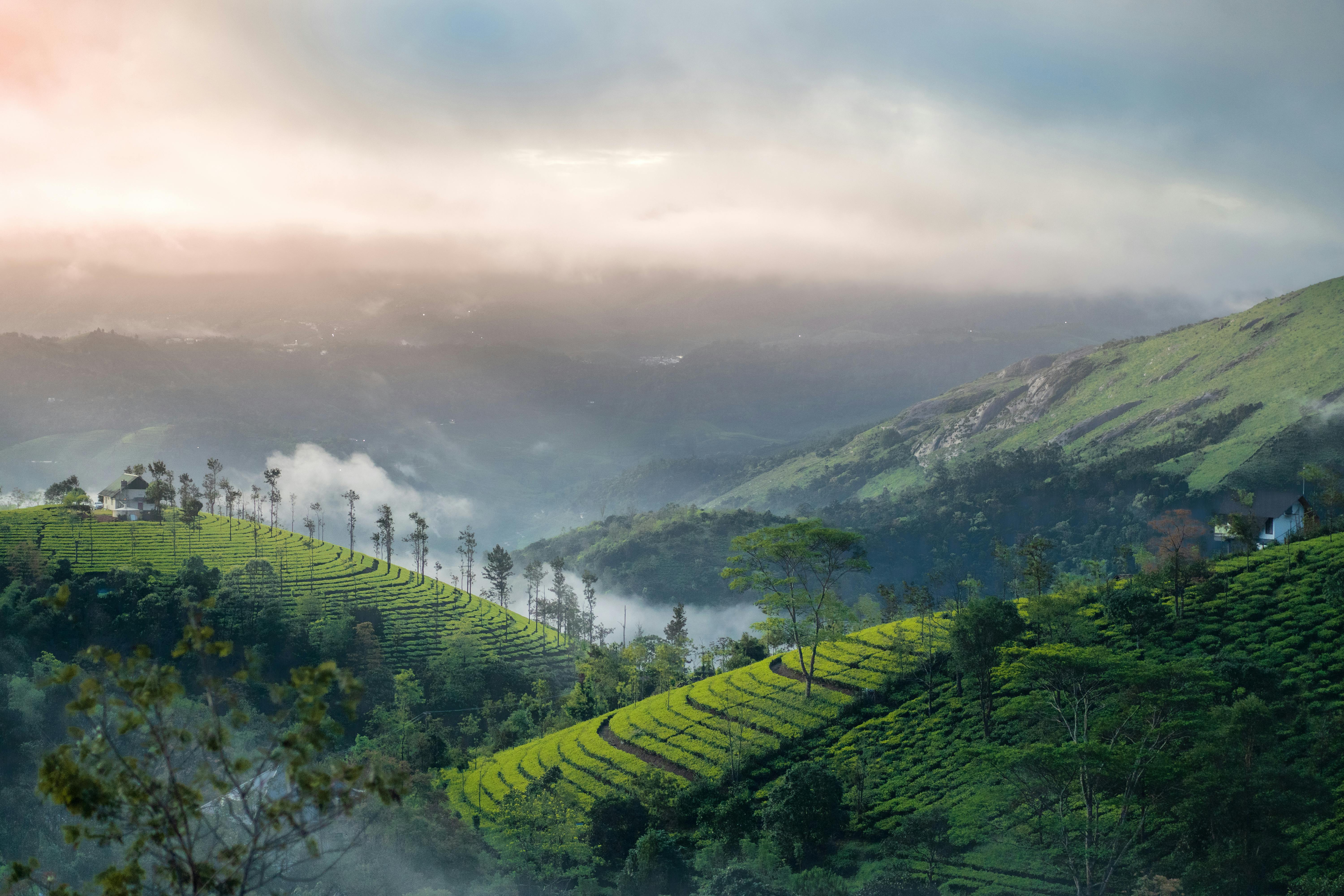 Coorg Trip from Bangalore