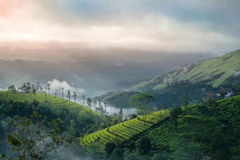 Coorg Trip from Bangalore